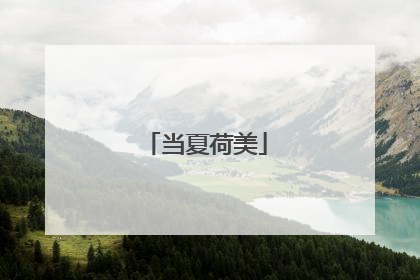 当夏荷美