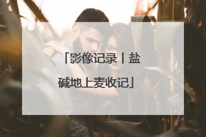 影像记录丨盐碱地上麦收记