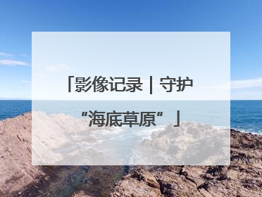 影像记录｜守护“海底草原”