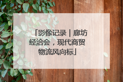影像记录｜廊坊经洽会，现代商贸物流风向标