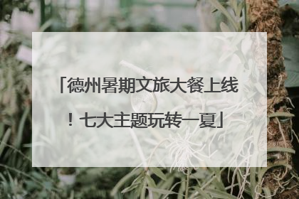 德州暑期文旅大餐上线！七大主题玩转一夏