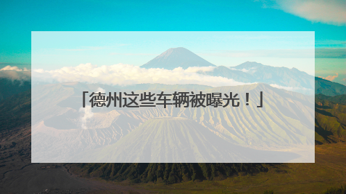 德州这些车辆被曝光！