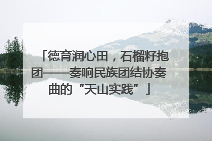 德育润心田，石榴籽抱团——奏响民族团结协奏曲的“天山实践”