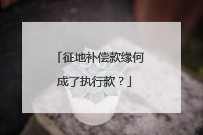 征地补偿款缘何成了执行款？