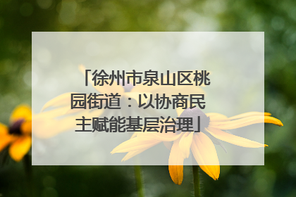 徐州市泉山区桃园街道：以协商民主赋能基层治理