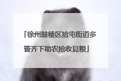 徐州鼓楼区拾屯街道多管齐下助农抢收夏粮
