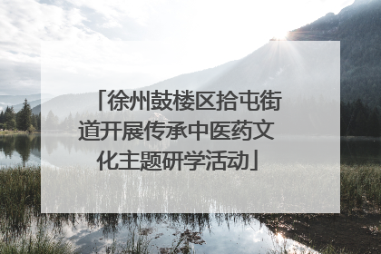 徐州鼓楼区拾屯街道开展传承中医药文化主题研学活动