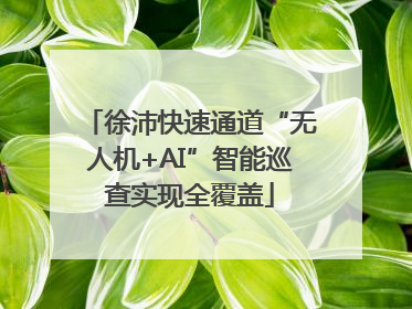徐沛快速通道“无人机+AI”智能巡查实现全覆盖