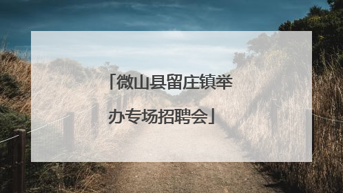 微山县留庄镇举办专场招聘会