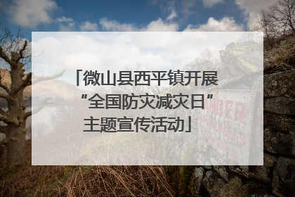微山县西平镇开展“全国防灾减灾日”主题宣传活动