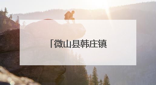 微山县韩庄镇“双圈”融合织就民生幸福网