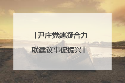 尹庄党建凝合力 联建议事促振兴