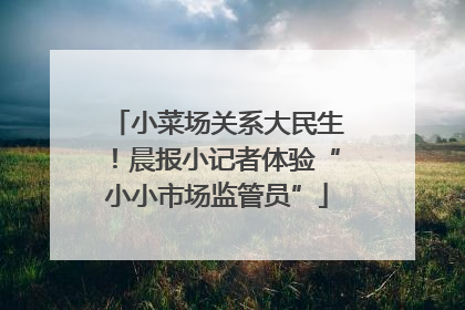 小菜场关系大民生！晨报小记者体验“小小市场监管员”