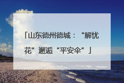 山东德州德城：“解忧花”邂逅“平安伞”