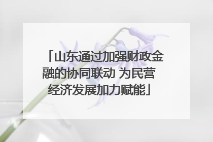 山东通过加强财政金融的协同联动 为民营经济发展加力赋能