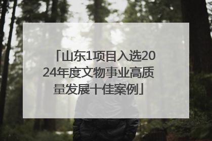 山东1项目入选2024年度文物事业高质量发展十佳案例