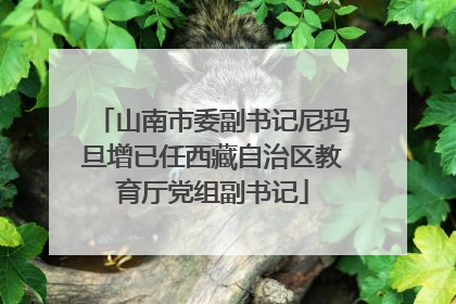 山南市委副书记尼玛旦增已任西藏自治区教育厅党组副书记