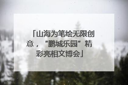 山海为笔绘无限创意，“鹏城乐园”精彩亮相文博会