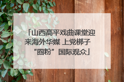 山西高平戏曲课堂迎来海外华媒 上党梆子“圈粉”国际观众