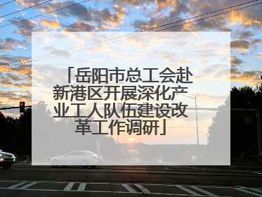 岳阳市总工会赴新港区开展深化产业工人队伍建设改革工作调研