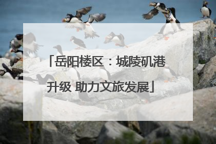 岳阳楼区：城陵矶港升级 助力文旅发展
