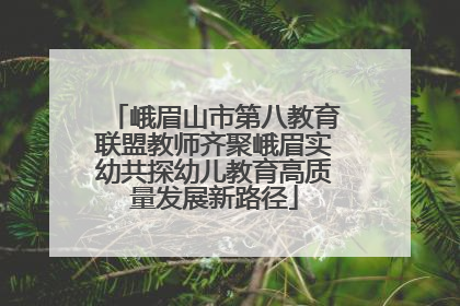 峨眉山市第八教育联盟教师齐聚峨眉实幼共探幼儿教育高质量发展新路径