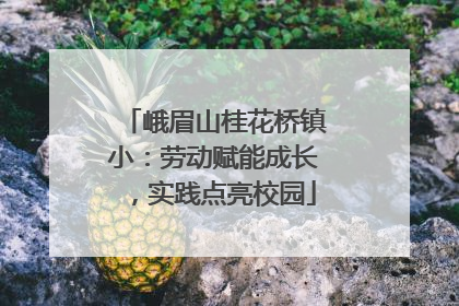 峨眉山桂花桥镇小：劳动赋能成长，实践点亮校园