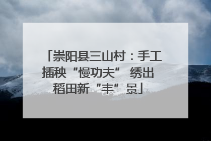 崇阳县三山村：手工插秧“慢功夫” 绣出稻田新“丰”景