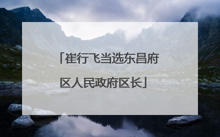 崔行飞当选东昌府区人民政府区长