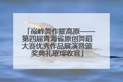 巅峰舞作耀高原——第四届青海省原创舞蹈大赛优秀作品展演暨颁奖典礼璀璨收官