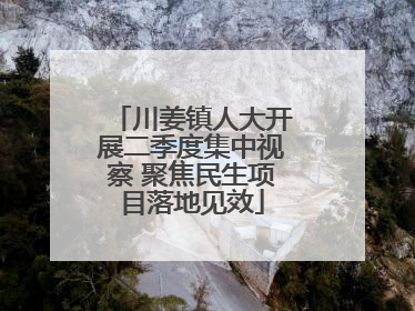 川姜镇人大开展二季度集中视察 聚焦民生项目落地见效