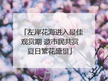 左岸花海进入最佳观赏期 邀市民共赏夏日繁花盛景