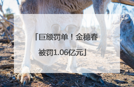 巨额罚单！金穗春被罚1.06亿元