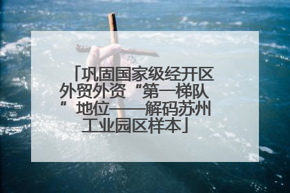 巩固国家级经开区外贸外资“第一梯队”地位——解码苏州工业园区样本