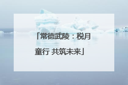 常德武陵：税月童行 共筑未来