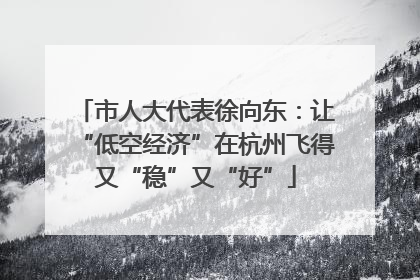 市人大代表徐向东：让“低空经济”在杭州飞得又“稳”又“好”