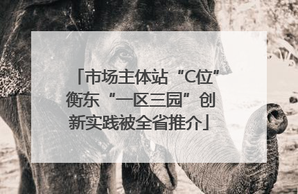 市场主体站“C位” 衡东“一区三园”创新实践被全省推介
