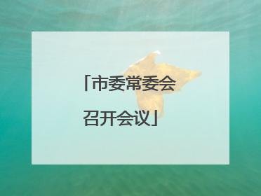 市委常委会召开会议