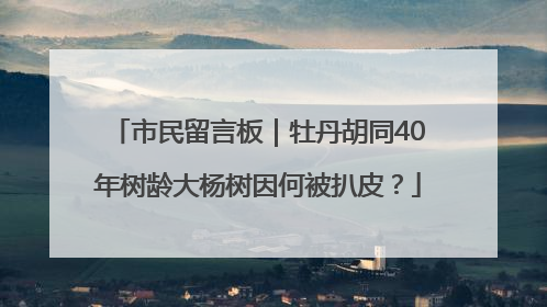市民留言板｜牡丹胡同40年树龄大杨树因何被扒皮？