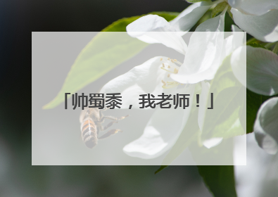 帅蜀黍，我老师！