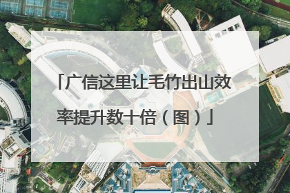 广信这里让毛竹出山效率提升数十倍（图）