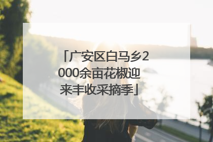 广安区白马乡2000余亩花椒迎来丰收采摘季
