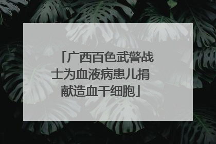 广西百色武警战士为血液病患儿捐献造血干细胞