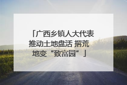 广西乡镇人大代表推动土地盘活 撂荒地变“致富园”
