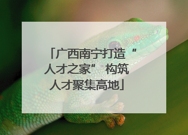 广西南宁打造“人才之家” 构筑人才聚集高地