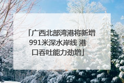 广西北部湾港将新增991米深水岸线 港口吞吐能力劲增