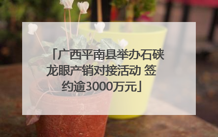 广西平南县举办石硖龙眼产销对接活动 签约逾3000万元