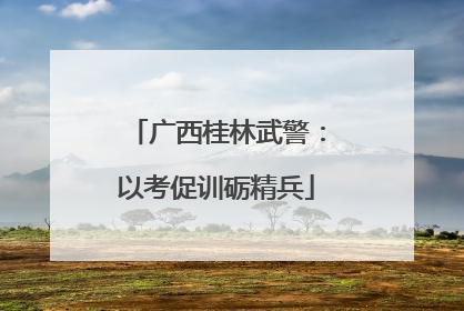 广西桂林武警：以考促训砺精兵
