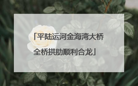平陆运河金海湾大桥全桥拱肋顺利合龙