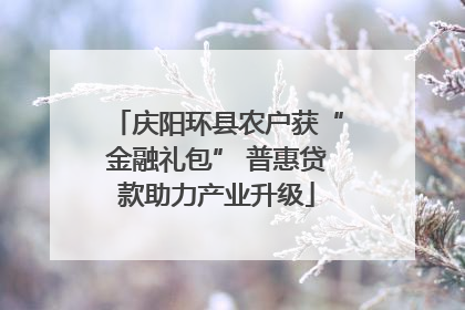 庆阳环县农户获“金融礼包” 普惠贷款助力产业升级